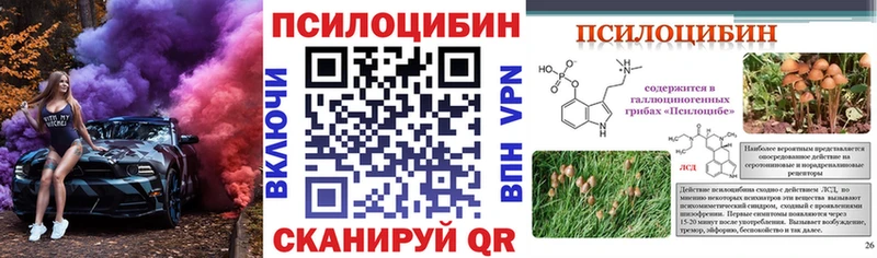 shop наркотические препараты  Коркино  Галлюциногенные грибы MAGIC MUSHROOMS 